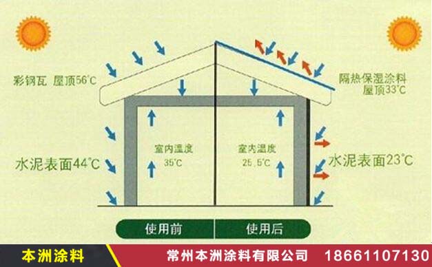 timg (1).jpg timg (1).jpg