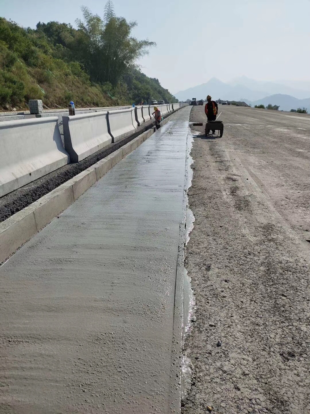 常州本洲涂料有限公司 (2).jpg