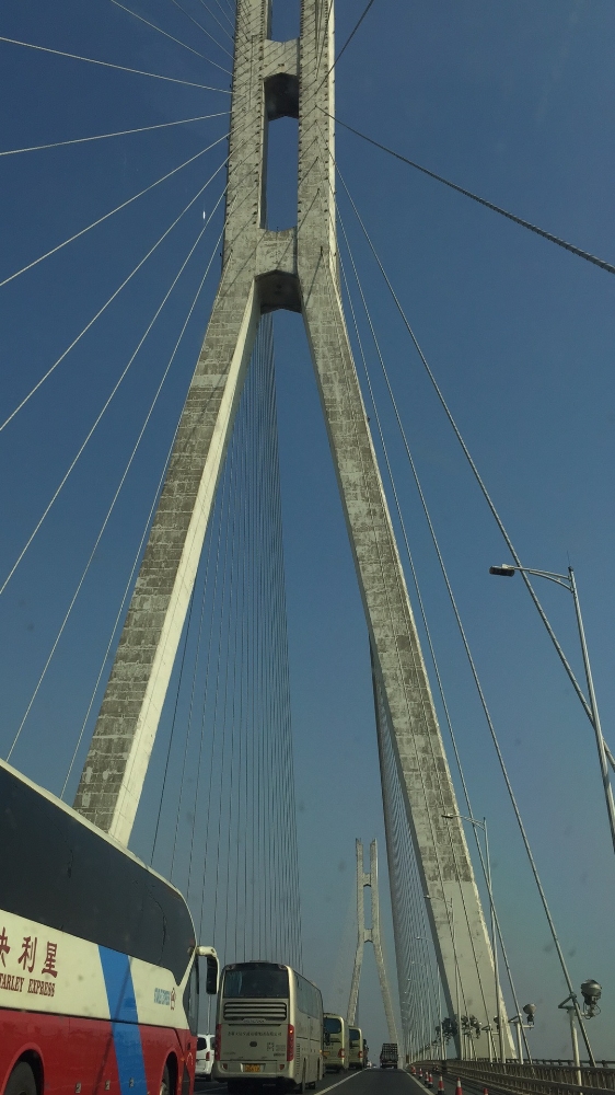 常州本洲涂料有限公司 (1).JPG