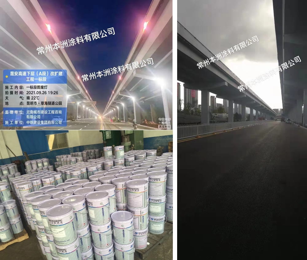 常州本洲涂料有限公司.jpg