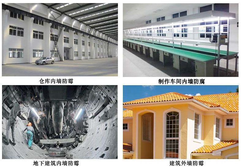 制作车间内墙防腐.jpg